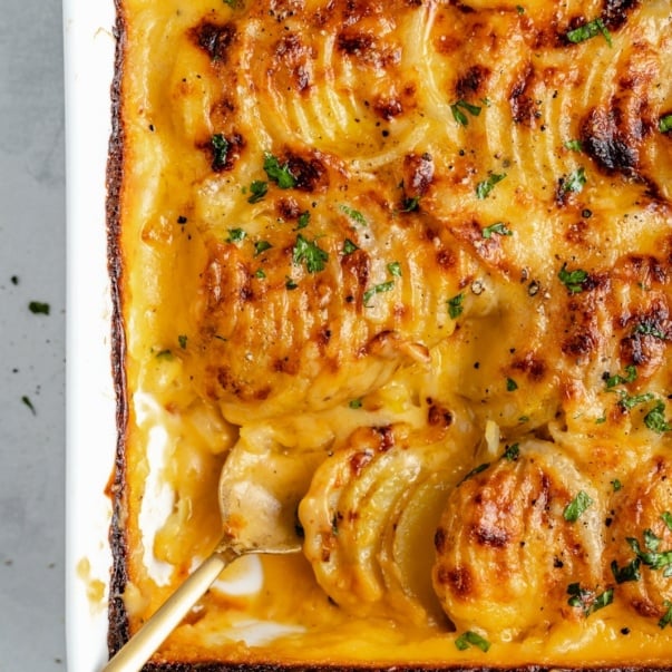 creamy au gratin potatoes in a baking dish with a spoon