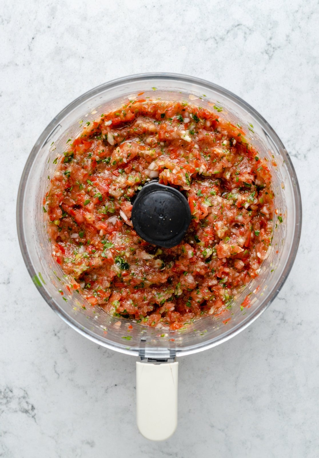homemade salsa with fresh tomatoes in a food processor